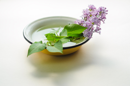 A bouquet of fresh purple lilac in a yellow enameled bowl on white background. Flowers in a vessel with waterの写真素材