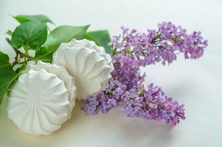 White marshmallow and a twig of lilac on a white background. Fresh spring still lifeの写真素材
