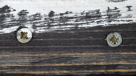 Two Screw Heads on Dirty Dark Painted Wood Surface. Macro Snapshotの写真素材