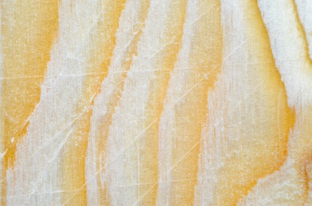 Natural wooden texture. Close-up shot of sawn timber as backgroundの写真素材