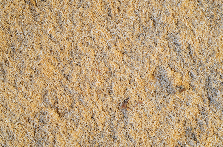 Wood Sawdust Texture Background. Carpentry Background Conceptの写真素材