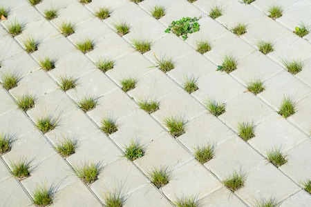 Square Grey Concrete Cobblestones with Holes for Grass Top View. Grey Cobblestone Texture. Landscaping Element Background Conceptの写真素材