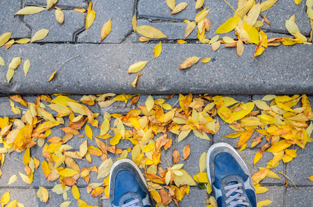 Blue Sneakers on a Gray Paving Sidewalk Covered with Fallen Leaves Top View.の写真素材