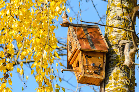 Handmade wooden birdhouse in the autumn treeの写真素材