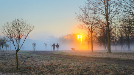 Two men in the early foggy morning walk their dogs. Male silhouettes in a strong morning fog. Rays of the sun in the reflection of the windows of buildings cut through a thick fogの写真素材