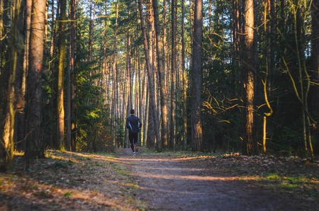 Man trail running in the forest. Morning jogging in the thicket of the forest. Silhouette of an athlete running in the parkの写真素材