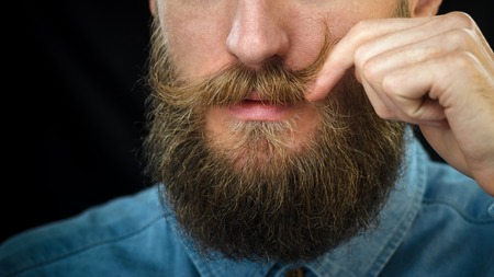 Bearded Man in a Blue Denim Shirt Twirling His Mustache with His Fingers. Portrait of a Hipster on...