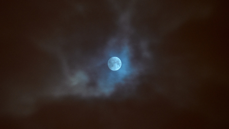 Moon eclipse in full moon. Super blue bloody moon over tree silhouette on night sky background.