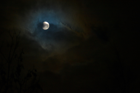 Moon eclipse in full moon. Super blue bloody moon over tree silhouette on night sky background. The beginning of the lunar eclipse. Earth's shadow falls to the moonの写真素材