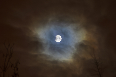 Moon eclipse in full moon. Super blue bloody moon over tree silhouette on night sky background. The...