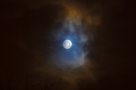 Moon eclipse in full moon. Super blue bloody moon over tree silhouette on night sky background.の写真素材