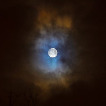 Moon eclipse in full moon. Super blue bloody moon over tree silhouette on night sky background.