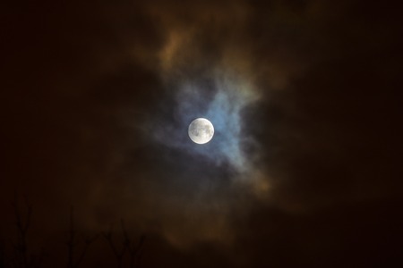 Moon eclipse in full moon. Super blue bloody moon over tree silhouette on night sky background. Minsk, Belarus, January 21, 2019の写真素材