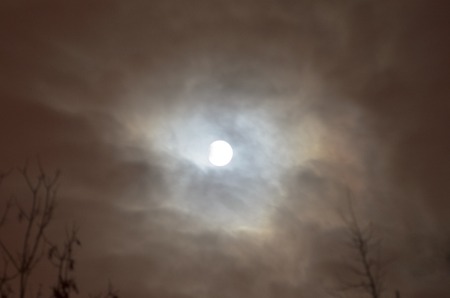 Moon eclipse in full moon. Super blue bloody moon over tree silhouette on night sky background. The beginning of the lunar eclipse. Earth's shadow falls to the moonの写真素材