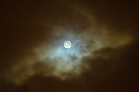 Moon eclipse in full moon. Super blue bloody moon over tree silhouette on night sky background.の写真素材