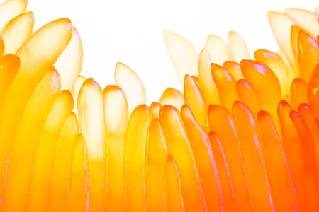 Pomelo fruit macro photography. Peeled pomelo slice on a white background. Carpels with Juicy...