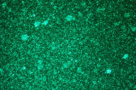 Green Sponge Foam Texture Macro Background. Abstract background of a thin layer of foam rubber....