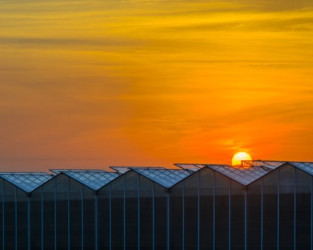 Large Industrial Greenhouse at Sunset. Gorgeous Sunset Red and Orange Sky Over the Building of...