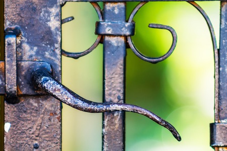 Iron Gate Handle Closeup. Iron Gate to a Blooming Garden. Handle Closeup. Summer Sunny Day. Abstract...
