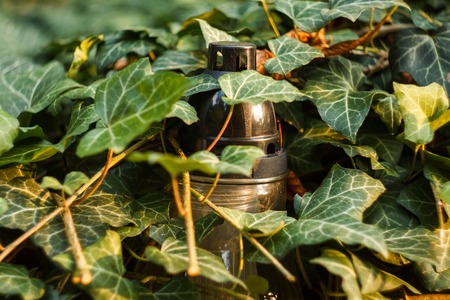 Ritual Candle Lantern in Dense Thickets of Ivy. Glyph of Prayer of Usobshim