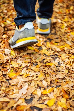 Walk on pavement in Autumn. Back view on the feet of a man walking along the pavement with fallen foilage. Abstract empty blank Autumn weather backgroundの写真素材