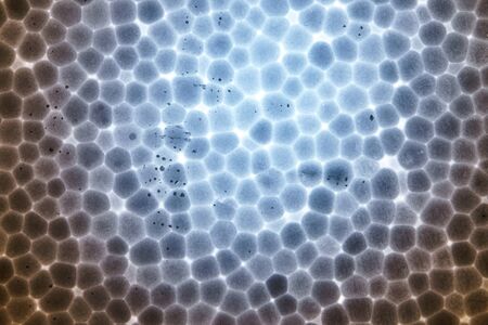Polystyrene foam slice texture. Abstract background