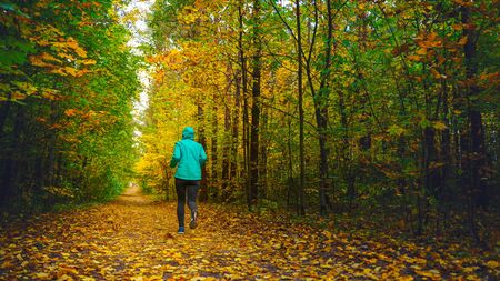 A woman athlete run in the autumn forest. Jogging in an amazing autumn forest strewn with fallen leavesの写真素材