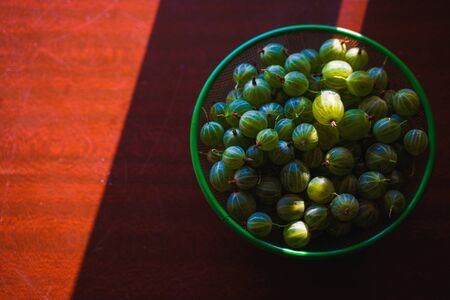 Heap of green washed gooseberry fruit in a colander on table top view. Copy spaceの写真素材