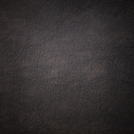 The texture of the skinの写真素材