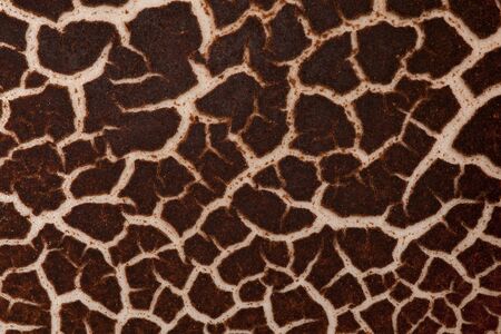 The texture of cracked brown