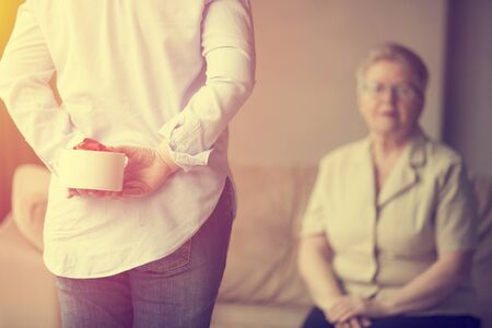 Young girl gives a gift to the mother in the sun roomの写真素材