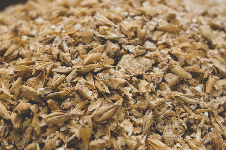 Grinded grains of barley malt close-up. Craft beer brewing from grain barley pale malt in process. Ale or lager from pilsner malt.の写真素材