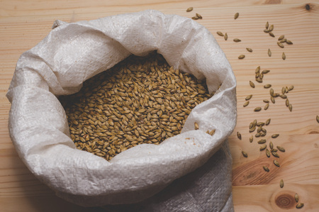 Caramel malt in a bag on a wooden background. Craft beer brewing from grain barley pale malt in process. Ale or lager from pilsner malt.の写真素材