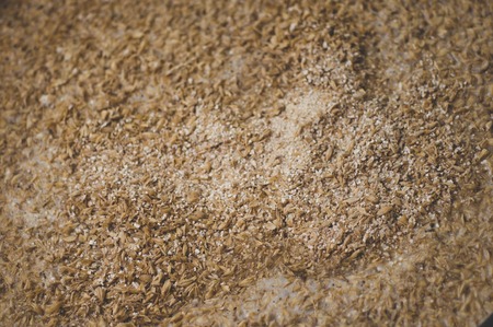 Mashing of milled malt grains into heated water to prepare wort. Craft beer brewing from grain barley pale malt in process.の写真素材