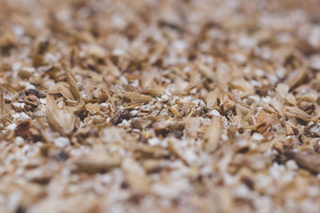 Grinded grains of barley malt close-up. Craft beer brewing from grain barley pale malt in process. Ale or lager from pilsner malt.の写真素材