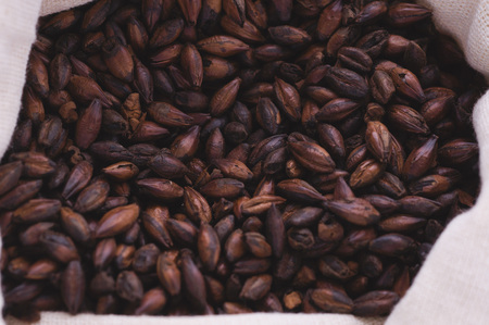 Chocolate malt in a bag. Craft beer brewing from grain barley malt in process. Ale or lager from dark pilsner malt.の写真素材