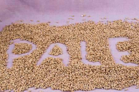 The inscription of pale with malt grains on a lilac textile background. Craft beer brewing from...