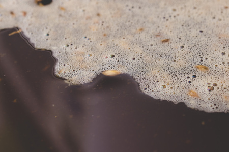 surface of craft beer during mashing process. Craft beer brewing from grain barley pale malt in process. Ale or lager from pilsner malt.の写真素材