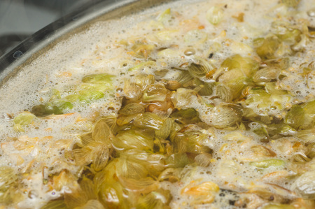 petals and cons of hop on the surface of homet beer. close up. Craft beer brewing from grain barley...