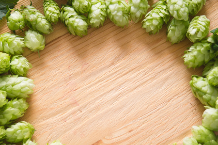 Fresh cones of hops on a wooden background. top view, closeup. Ingredient in beer industry. Craft...