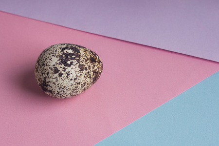 single quail eggs on color background. Vegetarian organic  eco food. top viewの写真素材