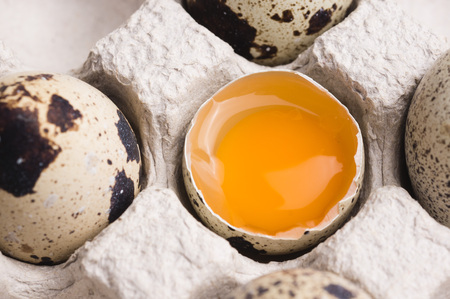 Quail eggs in random order with yolk in cardboard packaging.
Vegetarian organic food. Eco products....