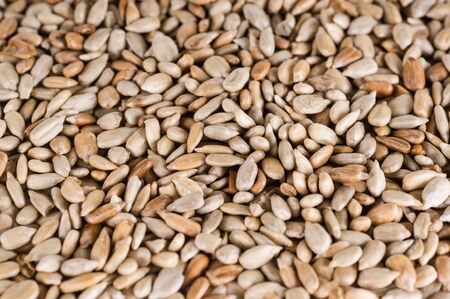 sunflower seeds as background. vegetarian food, eco food concepts
