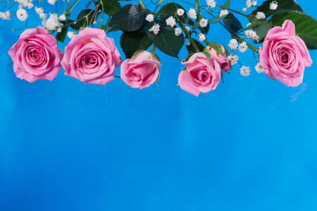 Delicate blossoming pink flowers, blooming roses festive backgroundの写真素材