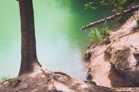 view of natural round green pond or lake surrounded by treesの写真素材