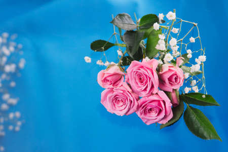 Pink roses on a blue background. Flat position, view from aboveの写真素材