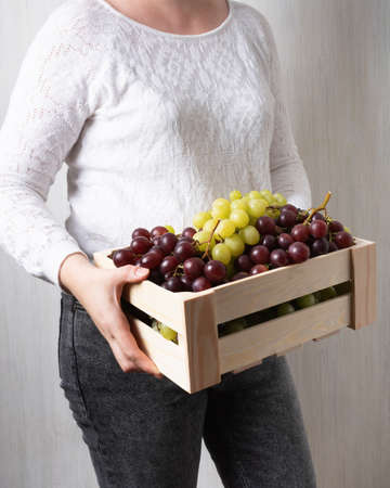 Natural organic juicy grapes set, red and green fruits in wooden box in the hands of a girl in light clothesの写真素材