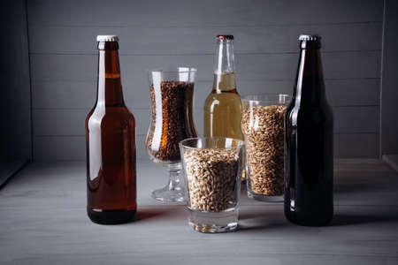 bottles with craft beer and beer glasses with barley malt on a gray wooden background.の写真素材