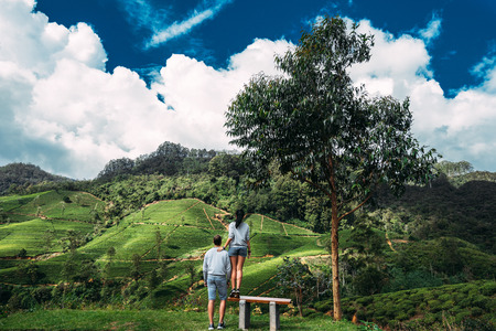 A couple in love travels. Couple in love on tea plantations. Travel to Sri Lanka. Boy and girl in the mountains. Honeymoon. Green tea plantations. Couple on a benchの写真素材