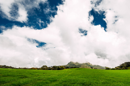 Lush green meadow under beautiful sky. Green meadow under the blue skies. Beauty nature background. Cattle pasture. The beautiful nature of Sri Lanka. Spring grass. Alpine grassland. Alpine pastureの写真素材